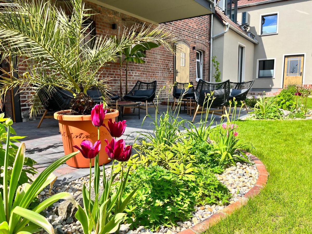 Suedseequartier - Lausitzer Seenland Apartment *